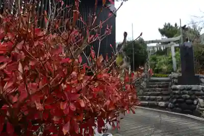 横浜御嶽神社(神奈川県)