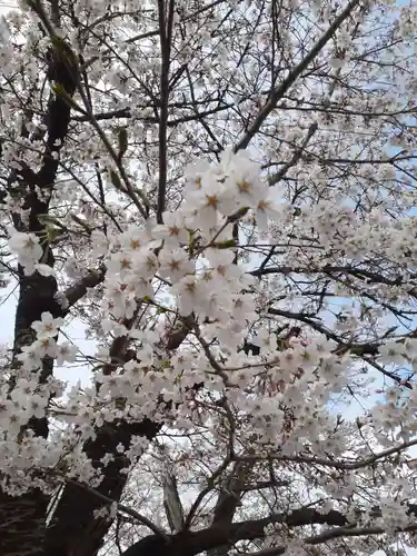 志賀理和氣神社(岩手県)