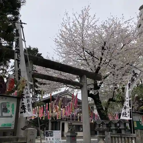 くまくま神社(導きの社 熊野町熊野神社)(東京都)