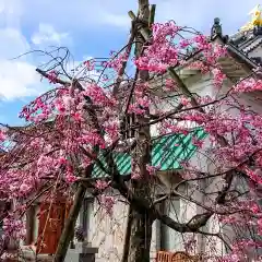 寿量山　速成寺の庭園