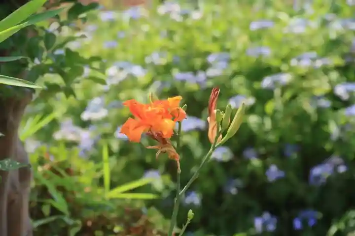 豊景神社の庭園