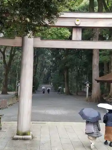 明治神宮の鳥居