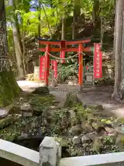 金櫻神社の鳥居