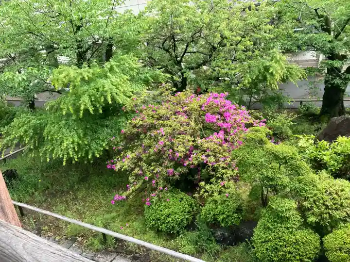 甲斐善光寺の{uncategorized: "未分類", other: "その他", undefined: "問題あり", building: "その他建物", grave: "お墓", sacred_gate: "鳥居", guardian: "狛犬", statue: "像", buddha: "仏像", history: "歴史", nature: "自然", garden: "庭園", animal: "動物", pagoda: "塔", temizu: "手水舎", mountain_gate: "山門・神門", sanctuary: "本殿・本堂", subordinate: "末社・摂社", art: "芸術", scenery: "景色", jizo: "地蔵", ema: "絵馬", goshuin: "御朱印", omikuji: "おみくじ", items: "授与品その他", amulet: "お守り", goshuincho: "御朱印帳", eats: "食事", festival: "お祭り", votive_dance: "神楽", shichigosan: "七五三参", wedding: "結婚式", experience: "体験その他", initially: "初詣", around: "周辺", anti_infection: "感染症対策"}