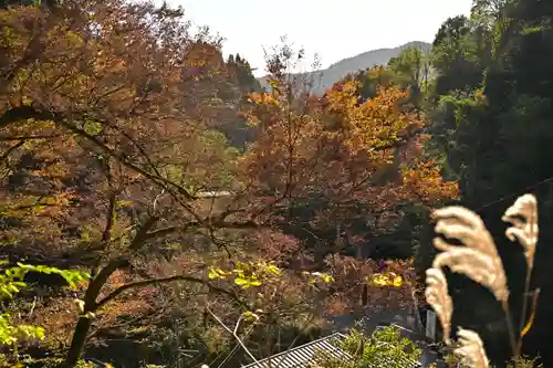 高龍神社(新潟県)