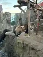クマ山神社(北海道)