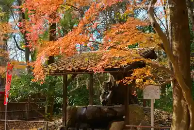 賀茂御祖神社（下鴨神社）(京都府)
