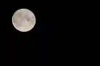 くまくま神社(導きの社 熊野町熊野神社)の自然