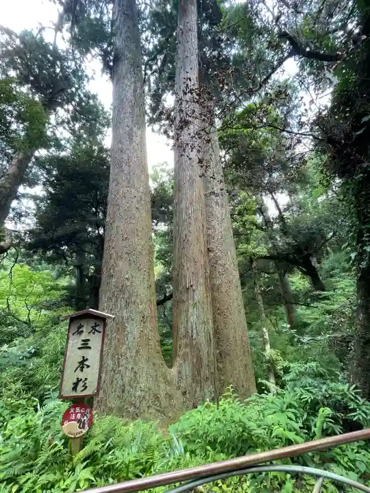 笠森寺(千葉県)