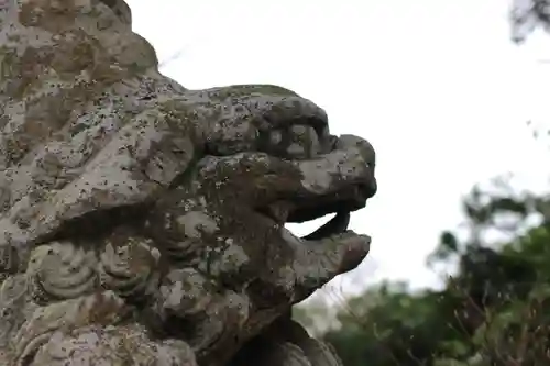 八幡宮の狛犬