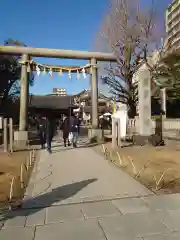 浅草神社の鳥居