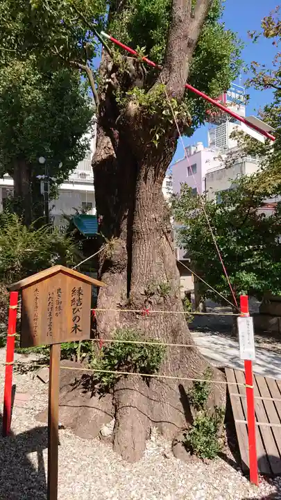 三輪神社の自然