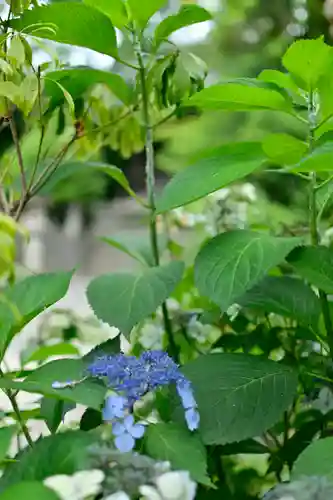 宮山神社(神奈川県)