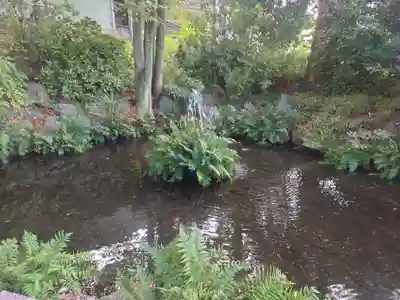 秩父今宮神社(埼玉県)