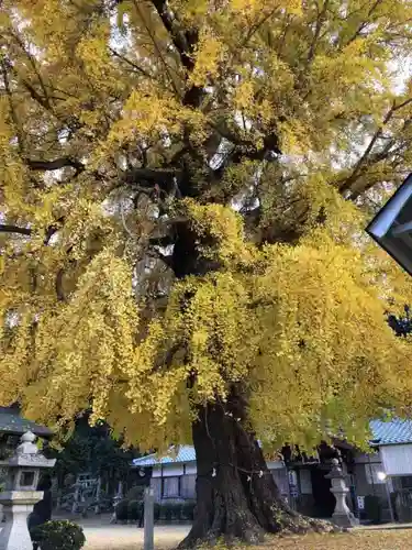 丹生酒殿神社の自然