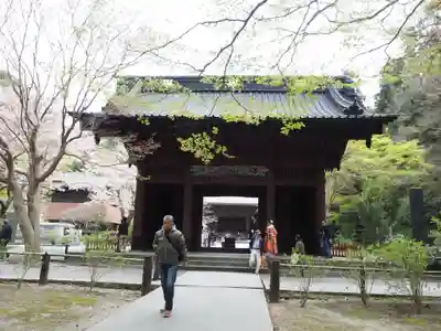 妙本寺の山門・神門
