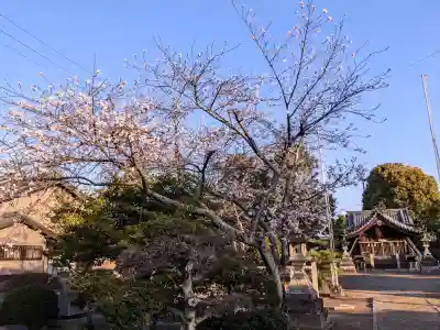 八幡社の{uncategorized: "未分類", other: "その他", undefined: "問題あり", building: "その他建物", grave: "お墓", sacred_gate: "鳥居", guardian: "狛犬", statue: "像", buddha: "仏像", history: "歴史", nature: "自然", garden: "庭園", animal: "動物", pagoda: "塔", temizu: "手水舎", mountain_gate: "山門・神門", sanctuary: "本殿・本堂", subordinate: "末社・摂社", art: "芸術", scenery: "景色", jizo: "地蔵", ema: "絵馬", goshuin: "御朱印", omikuji: "おみくじ", items: "授与品その他", amulet: "お守り", goshuincho: "御朱印帳", eats: "食事", festival: "お祭り", votive_dance: "神楽", shichigosan: "七五三参", wedding: "結婚式", experience: "体験その他", initially: "初詣", around: "周辺", anti_infection: "感染症対策"}