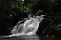 瀧鶏山不動尊の自然