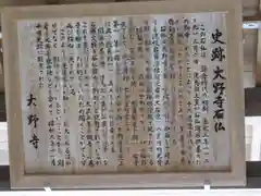 大野寺の歴史