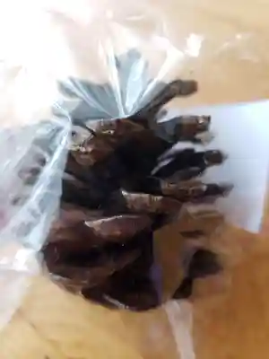 玄国寺(東京都)