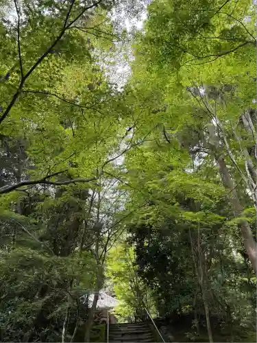 円通院(宮城県)