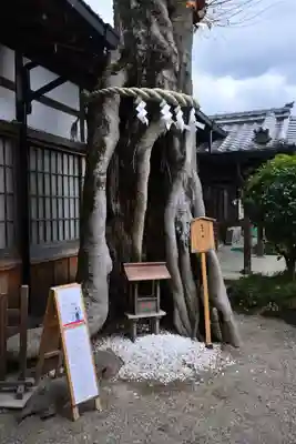 三輪坐恵比須神社(奈良県)