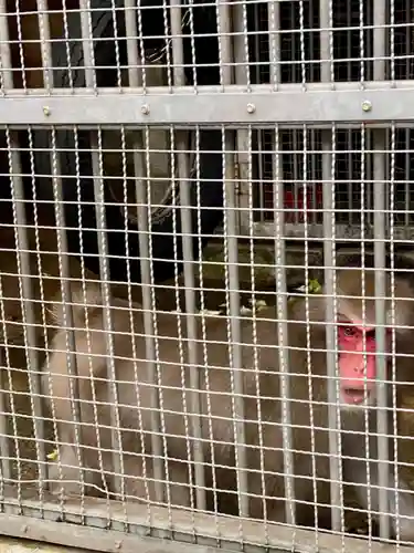 日吉大社(滋賀県)