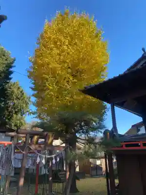 八坂神社(群馬県)