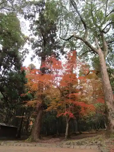 春日大社(奈良県)