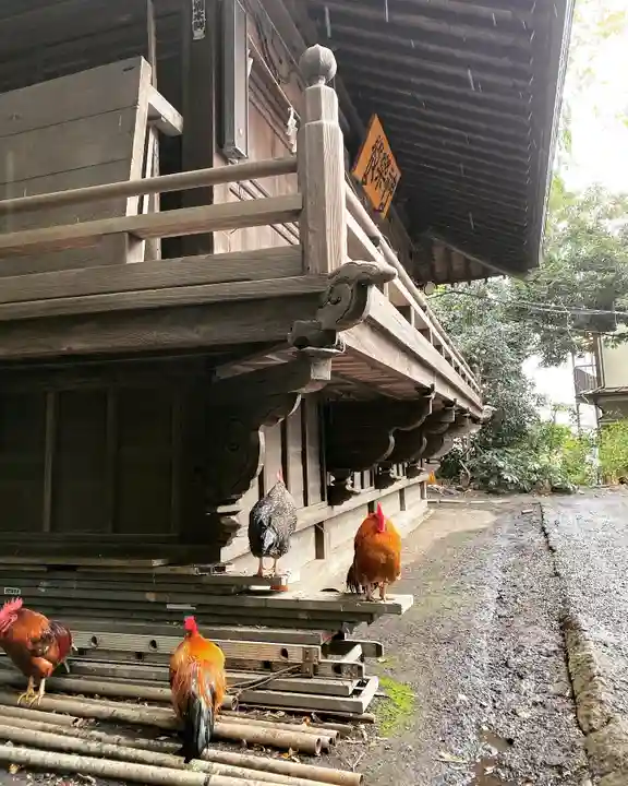 谷保天満宮のその他建物
