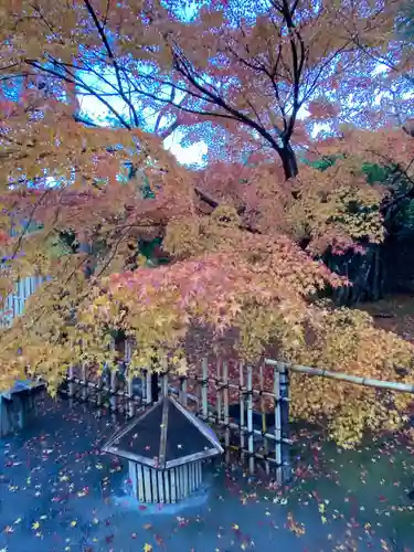 宝厳院(京都府)