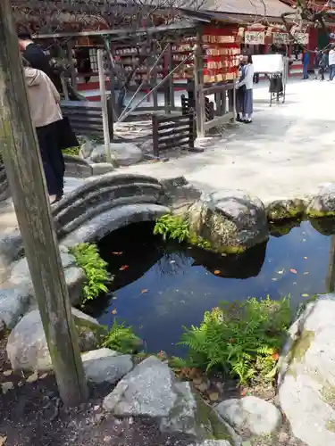 太宰府天満宮の庭園