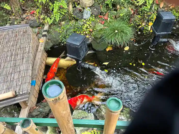 吉原弁財天本宮(吉原神社奥宮)の動物