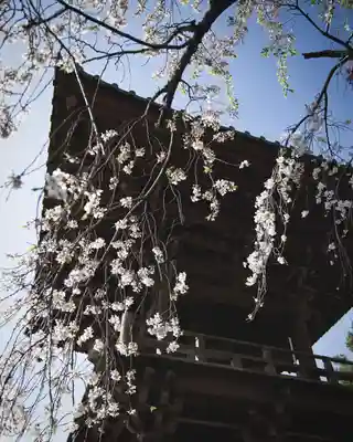 慈眼寺(群馬県)