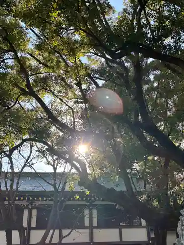 穴八幡宮(東京都)