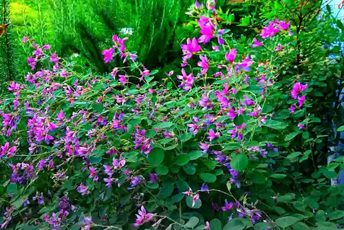 寿量山　速成寺の自然