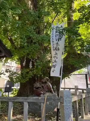 海南神社(神奈川県)
