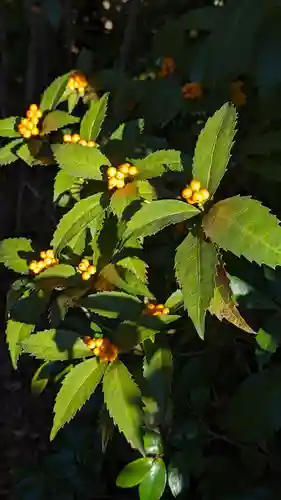 東北院(京都府)