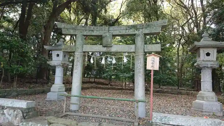 福岡縣護國神社の鳥居
