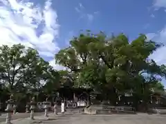 下庄八幡神社の建物その他