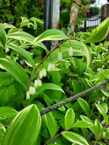 沙沙貴神社(滋賀県)