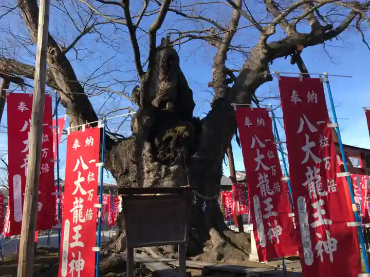 秩父今宮神社の自然