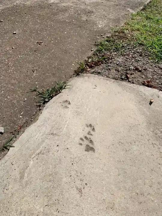 成田観音 円応寺(千葉県)