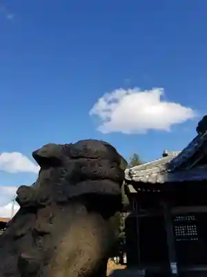 伏木香取神社の狛犬