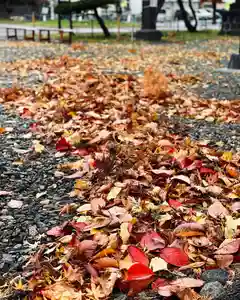 伊達神社の庭園(2021年11月09日(火) 09時43分10秒投稿)