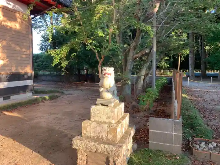 白幡神社の狛犬