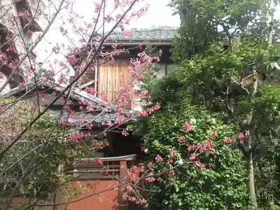 大巧寺(神奈川県)