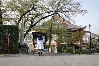 順慶寺の山門・神門