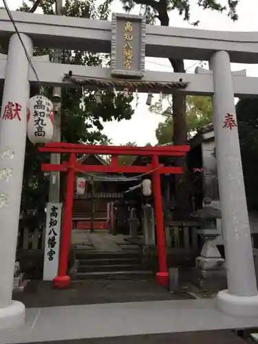 高知八幡宮の鳥居