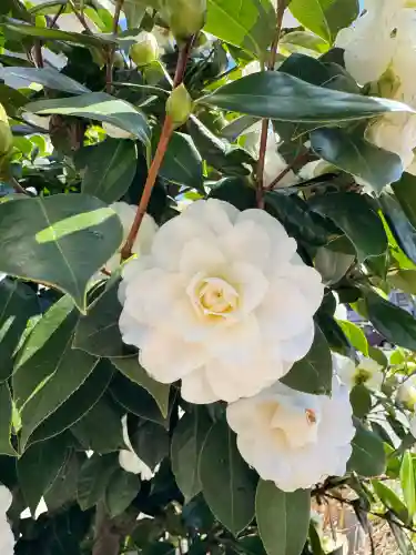 阿邪訶根神社の{uncategorized: "未分類", other: "その他", undefined: "問題あり", building: "その他建物", grave: "お墓", sacred_gate: "鳥居", guardian: "狛犬", statue: "像", buddha: "仏像", history: "歴史", nature: "自然", garden: "庭園", animal: "動物", pagoda: "塔", temizu: "手水舎", mountain_gate: "山門・神門", sanctuary: "本殿・本堂", subordinate: "末社・摂社", art: "芸術", scenery: "景色", jizo: "地蔵", ema: "絵馬", goshuin: "御朱印", omikuji: "おみくじ", items: "授与品その他", amulet: "お守り", goshuincho: "御朱印帳", eats: "食事", festival: "お祭り", votive_dance: "神楽", shichigosan: "七五三参", wedding: "結婚式", experience: "体験その他", initially: "初詣", around: "周辺", anti_infection: "感染症対策"}